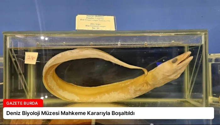 Deniz Biyoloji Müzesi Mahkeme Kararıyla Boşaltıldı