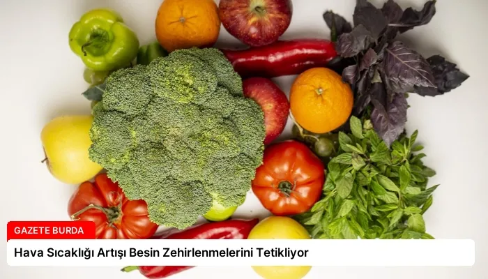 Hava Sıcaklığı Artışı Besin Zehirlenmelerini Tetikliyor