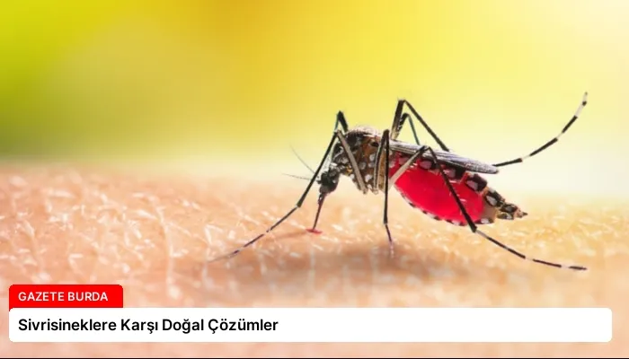 Sivrisineklere Karşı Doğal Çözümler