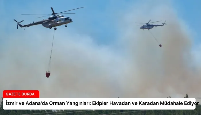 İzmir ve Adana’da Orman Yangınları: Ekipler Havadan ve Karadan Müdahale Ediyor