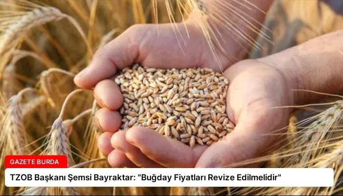TZOB Başkanı Şemsi Bayraktar: “Buğday Fiyatları Revize Edilmelidir”