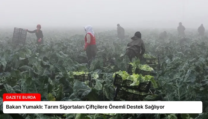 Bakan Yumaklı: Tarım Sigortaları Çiftçilere Önemli Destek Sağlıyor
