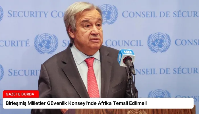 Birleşmiş Milletler Güvenlik Konseyi’nde Afrika Temsil Edilmeli
