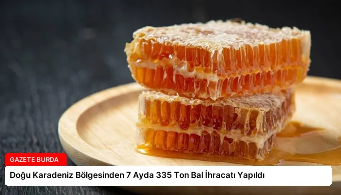 Doğu Karadeniz Bölgesinden 7 Ayda 335 Ton Bal İhracatı Yapıldı
