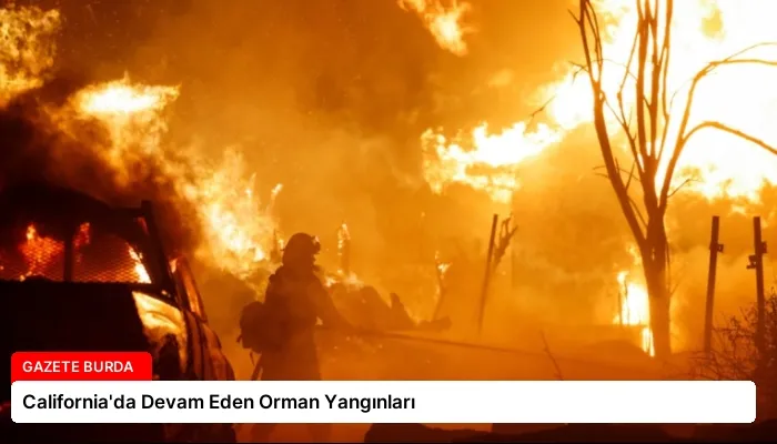 California’da Devam Eden Orman Yangınları