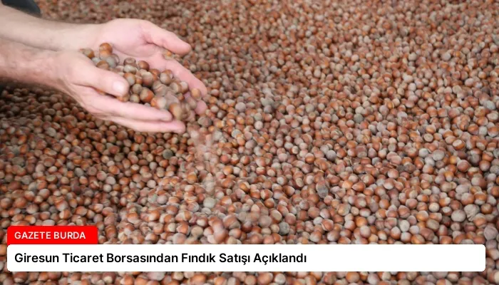 Giresun Ticaret Borsasından Fındık Satışı Açıklandı