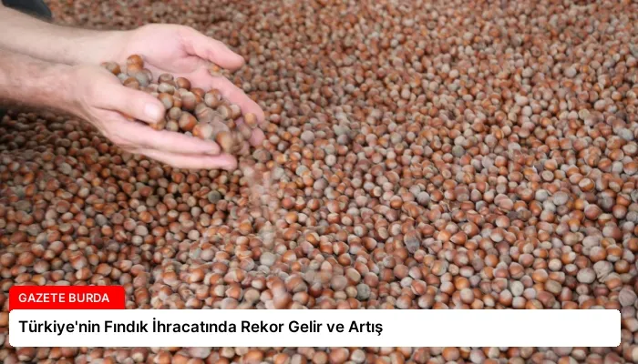 Türkiye’nin Fındık İhracatında Rekor Gelir ve Artış