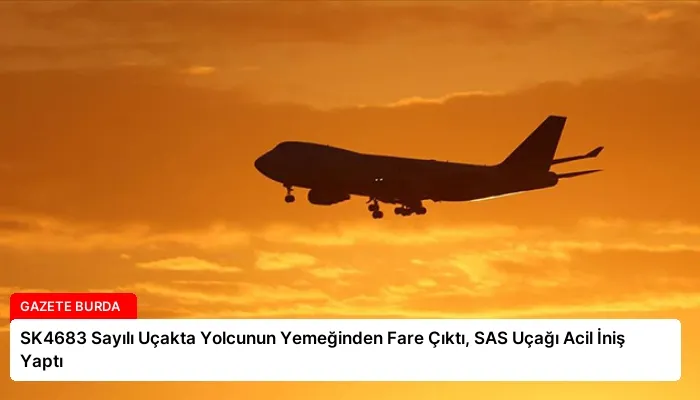 SK4683 Sayılı Uçakta Yolcunun Yemeğinden Fare Çıktı, SAS Uçağı Acil İniş Yaptı