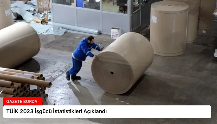 TÜİK 2023 İşgücü İstatistikleri Açıklandı