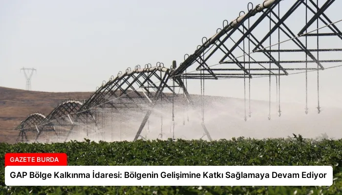 GAP Bölge Kalkınma İdaresi: Bölgenin Gelişimine Katkı Sağlamaya Devam Ediyor