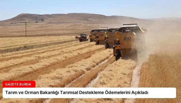 Tarım ve Orman Bakanlığı Tarımsal Destekleme Ödemelerini Açıkladı