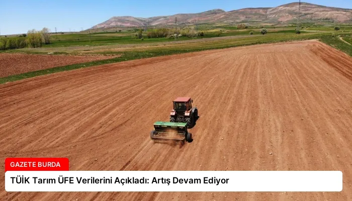 TÜİK Tarım ÜFE Verilerini Açıkladı: Artış Devam Ediyor