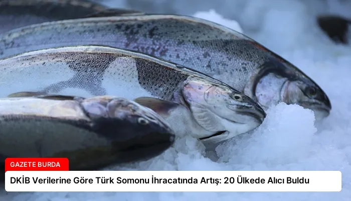 DKİB Verilerine Göre Türk Somonu İhracatında Artış: 20 Ülkede Alıcı Buldu