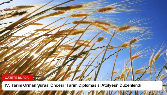 IV. Tarım Orman Şurası Öncesi “Tarım Diplomasisi Atölyesi” Düzenlendi