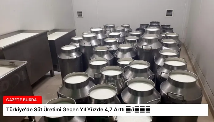 Türkiye’de Süt Üretimi Geçen Yıl Yüzde 4,7 Arttı ⏬👇