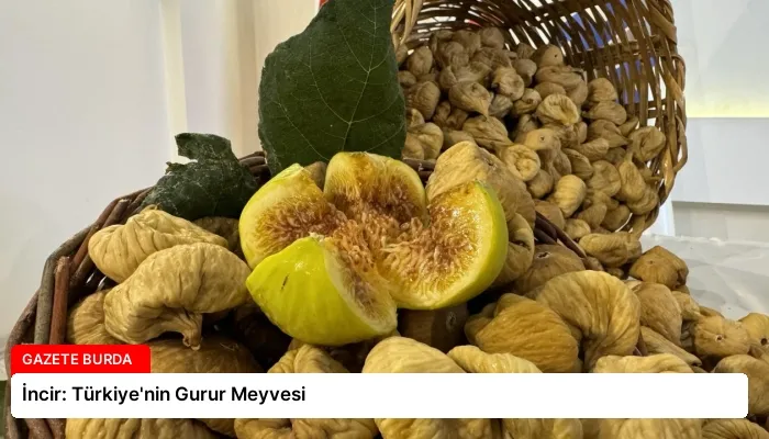 İncir: Türkiye’nin Gurur Meyvesi