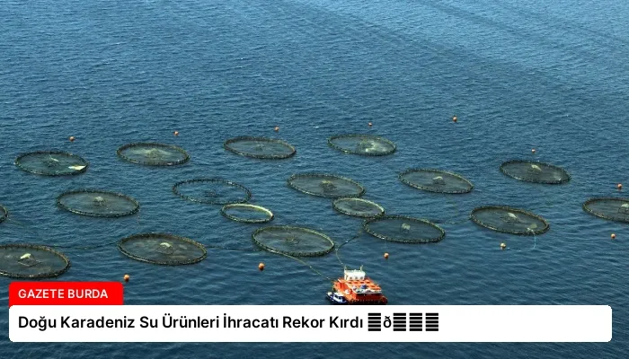 Doğu Karadeniz Su Ürünleri İhracatı Rekor Kırdı ⏬👇