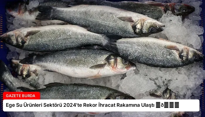 Ege Su Ürünleri Sektörü 2024’te Rekor İhracat Rakamına Ulaştı ⏬👇
