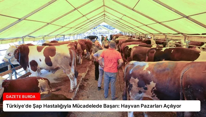 Türkiye’de Şap Hastalığıyla Mücadelede Başarı: Hayvan Pazarları Açılıyor