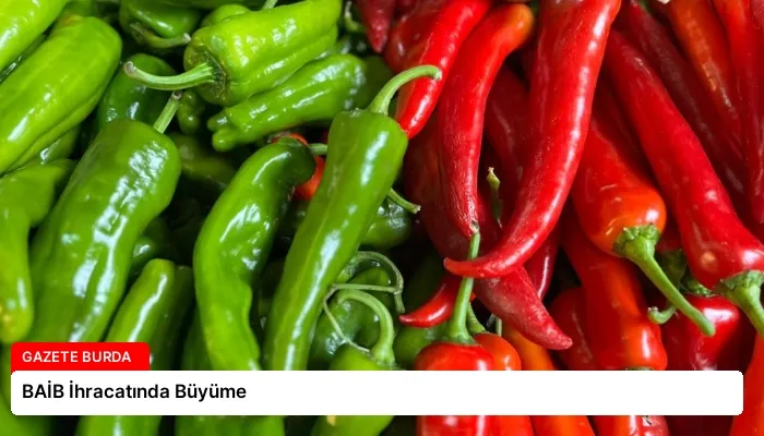 BAİB İhracatında Büyüme