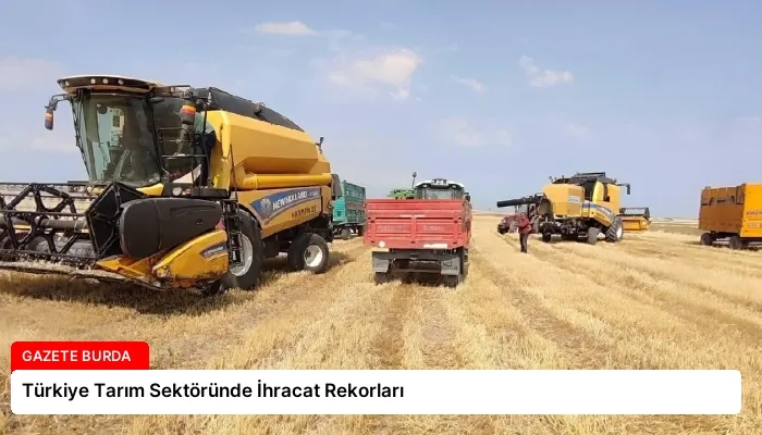 Türkiye Tarım Sektöründe İhracat Rekorları