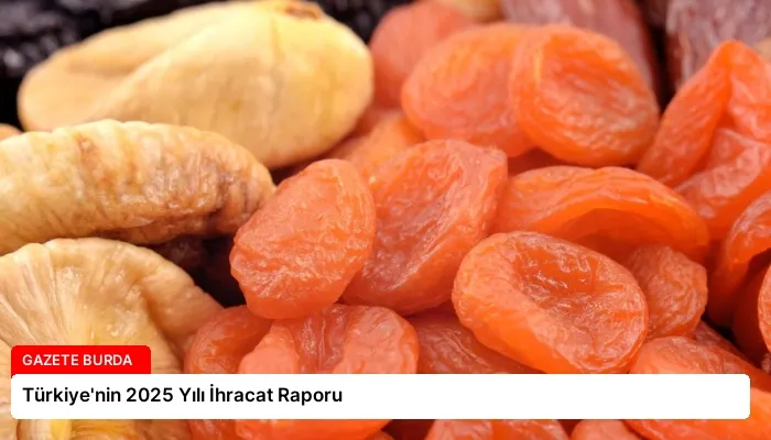 Türkiye’nin 2025 Yılı İhracat Raporu