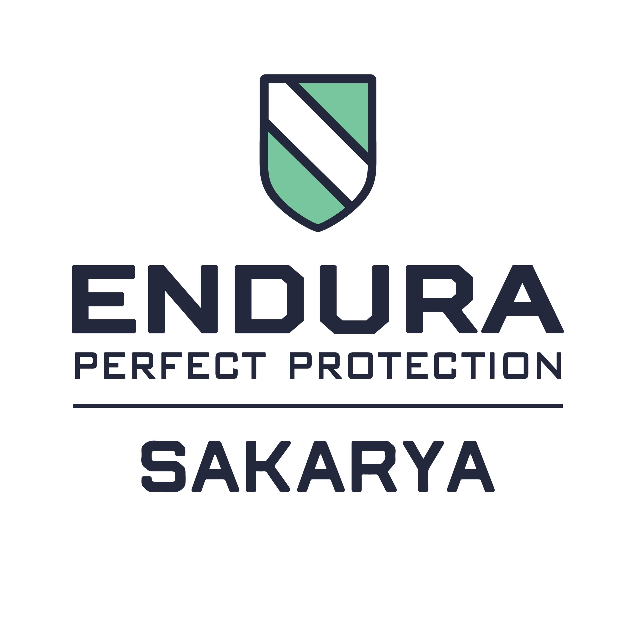 Endura Sakarya – Profesyonel Araç Kaplama & Cam Filmi Uygulama Merkezi