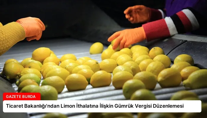 Ticaret Bakanlığı’ndan Limon İthalatına İlişkin Gümrük Vergisi Düzenlemesi