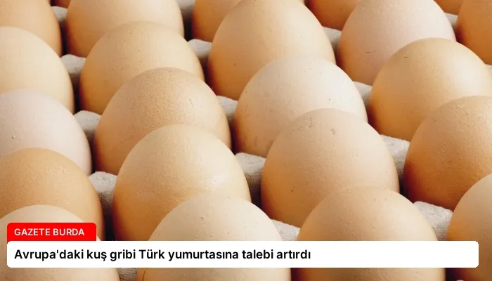 Avrupa’daki kuş gribi Türk yumurtasına talebi artırdı