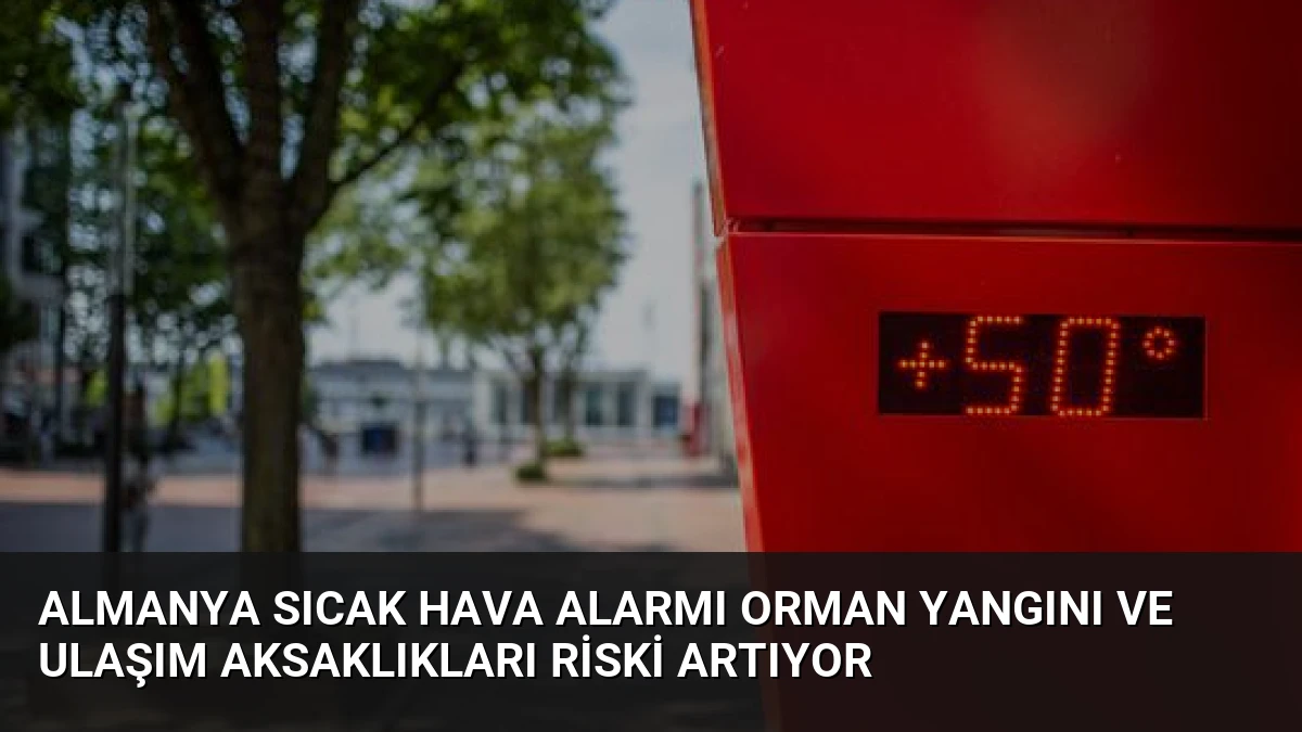 Almanya Sıcak Hava Alarmı Orman Yangını ve Ulaşım Aksaklıkları Riski Artıyor