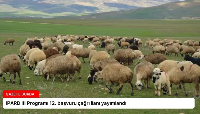 IPARD III Programı 12. başvuru çağrı ilanı yayımlandı