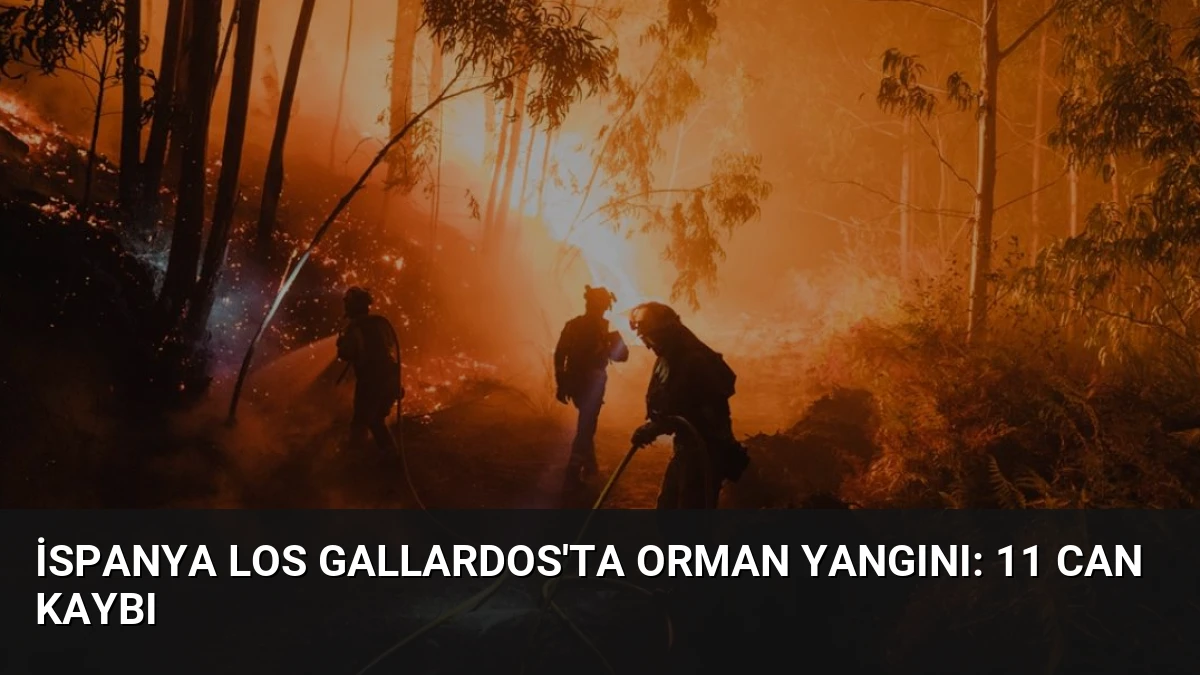 İspanya Los Gallardos’ta Orman Yangını: 11 Can Kaybı