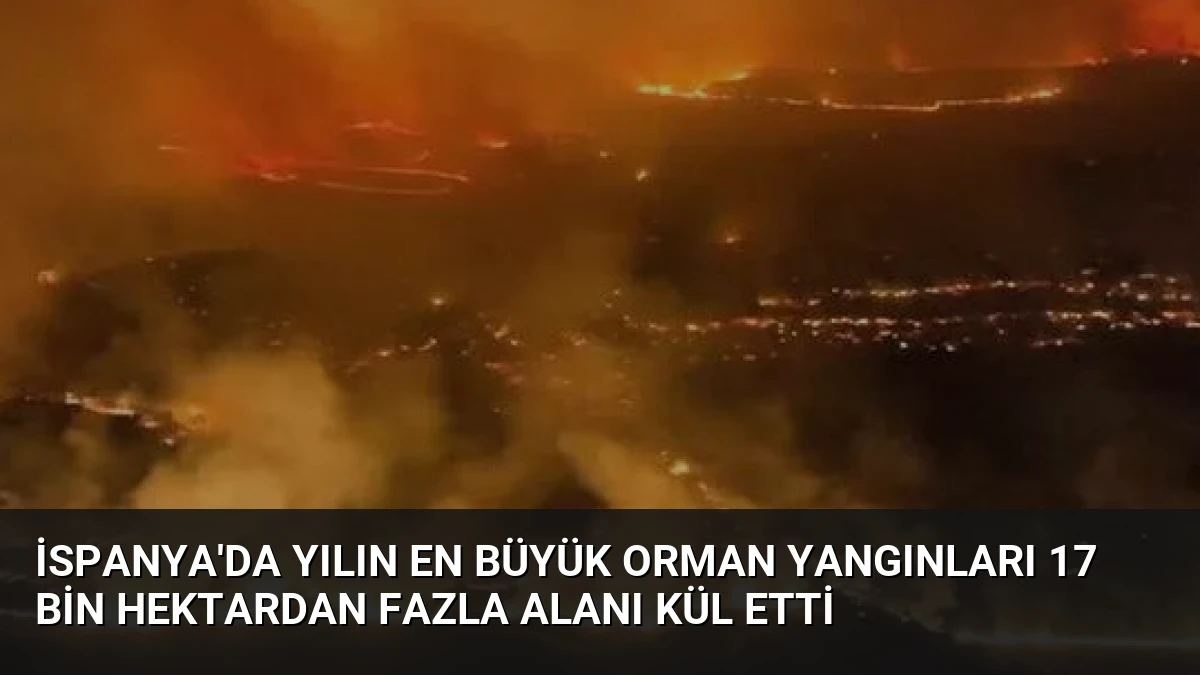İspanya’da Yılın En Büyük Orman Yangınları 17 Bin Hektardan Fazla Alanı Kül Etti