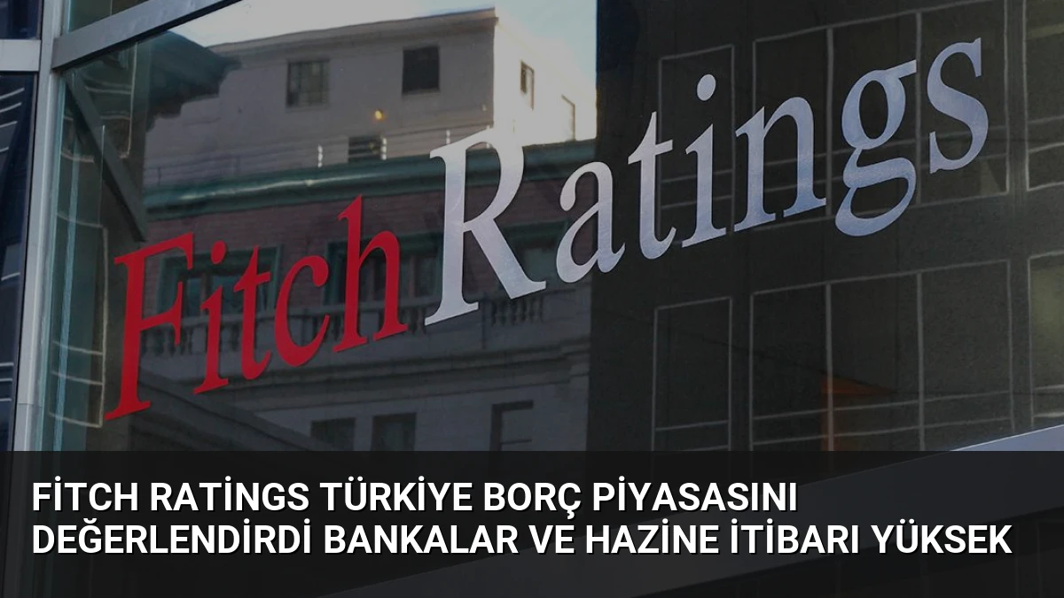 Fitch Ratings Türkiye Borç Piyasasını Değerlendirdi Bankalar ve Hazine İtibarı Yüksek