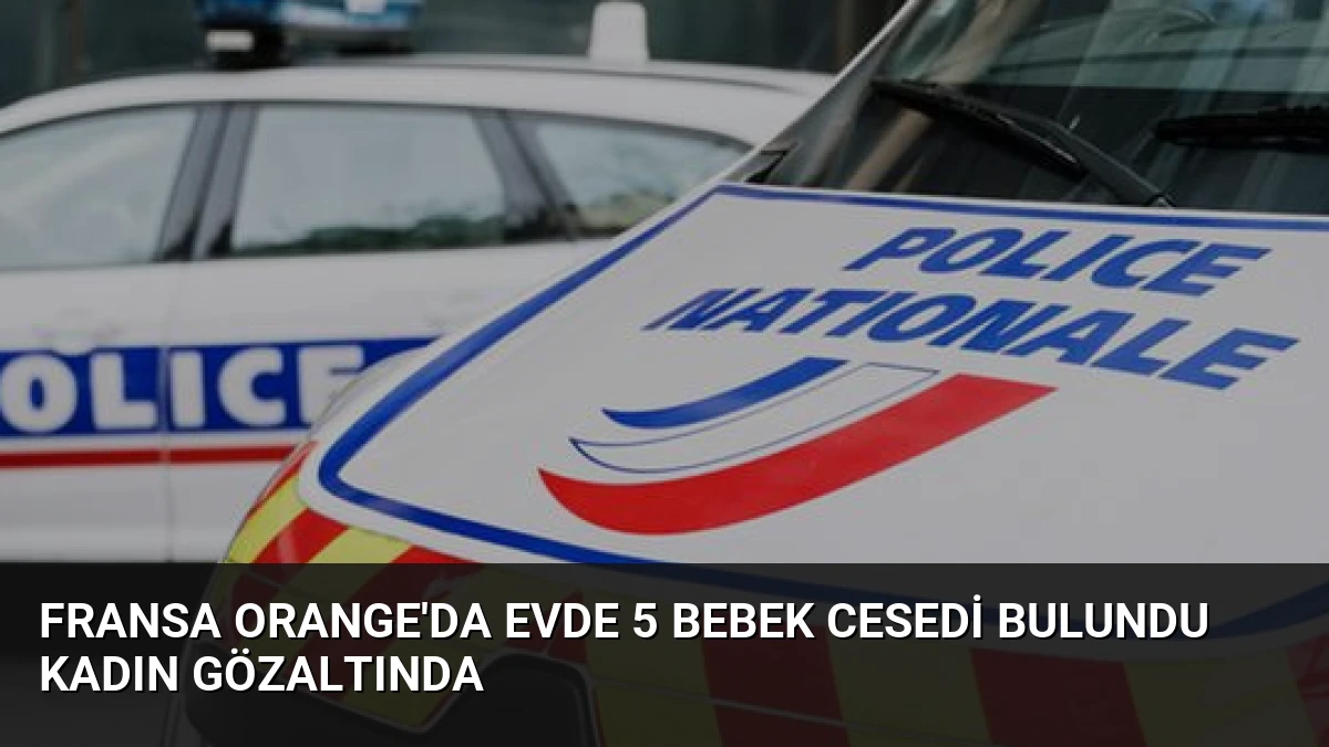 Fransa Orange’da Evde 5 Bebek Cesedi Bulundu Kadın Gözaltında