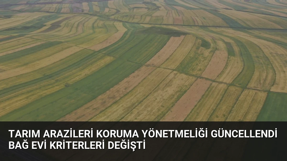 Tarım Arazileri Koruma Yönetmeliği Güncellendi Bağ Evi Kriterleri Değişti