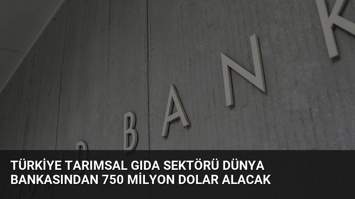 Türkiye Tarımsal Gıda Sektörü Dünya Bankasından 750 Milyon Dolar Alacak